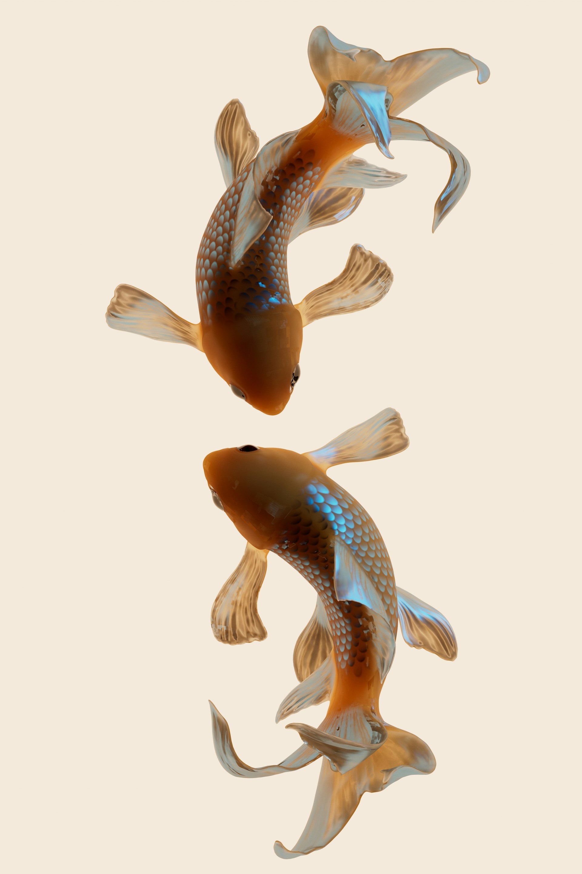 B店様 EC サイトリニューアル